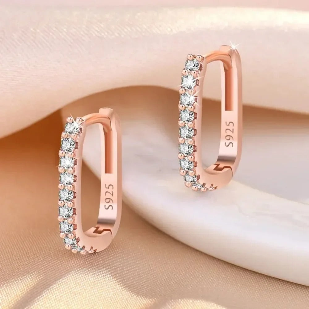 Frost Drop Earrings (Rose)