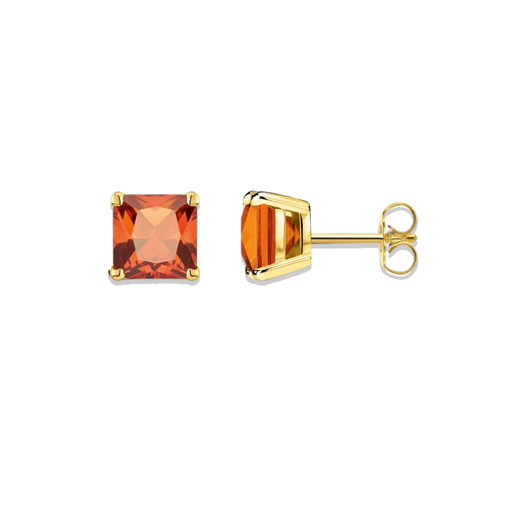 Clarity Studs