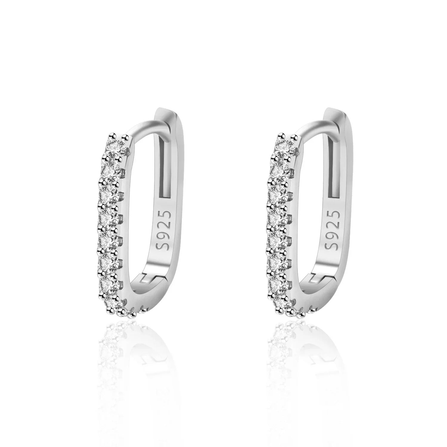 Frost Drop Earrings (Silver)